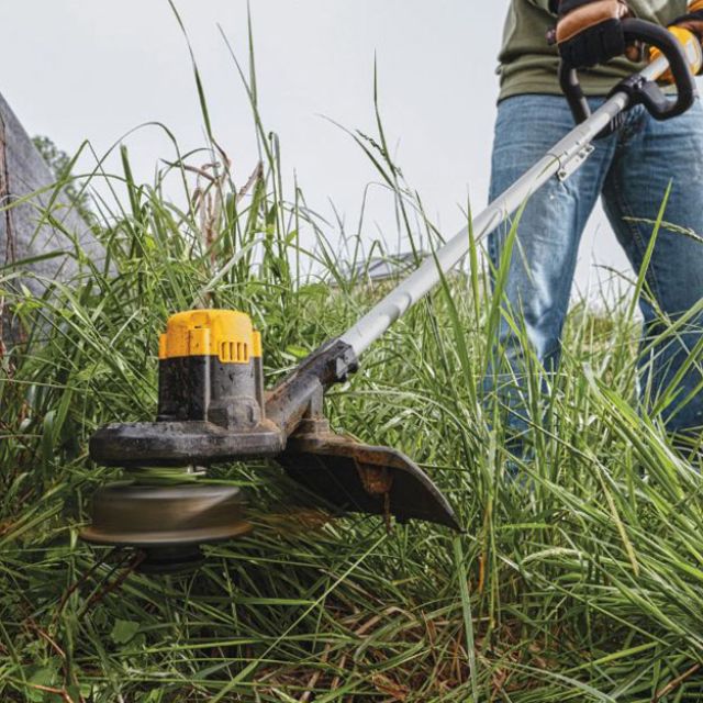 Hortikulturno odrzuvanje